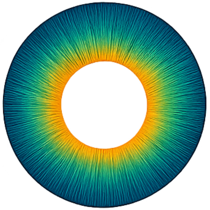Virtuo Turing Eye Logo